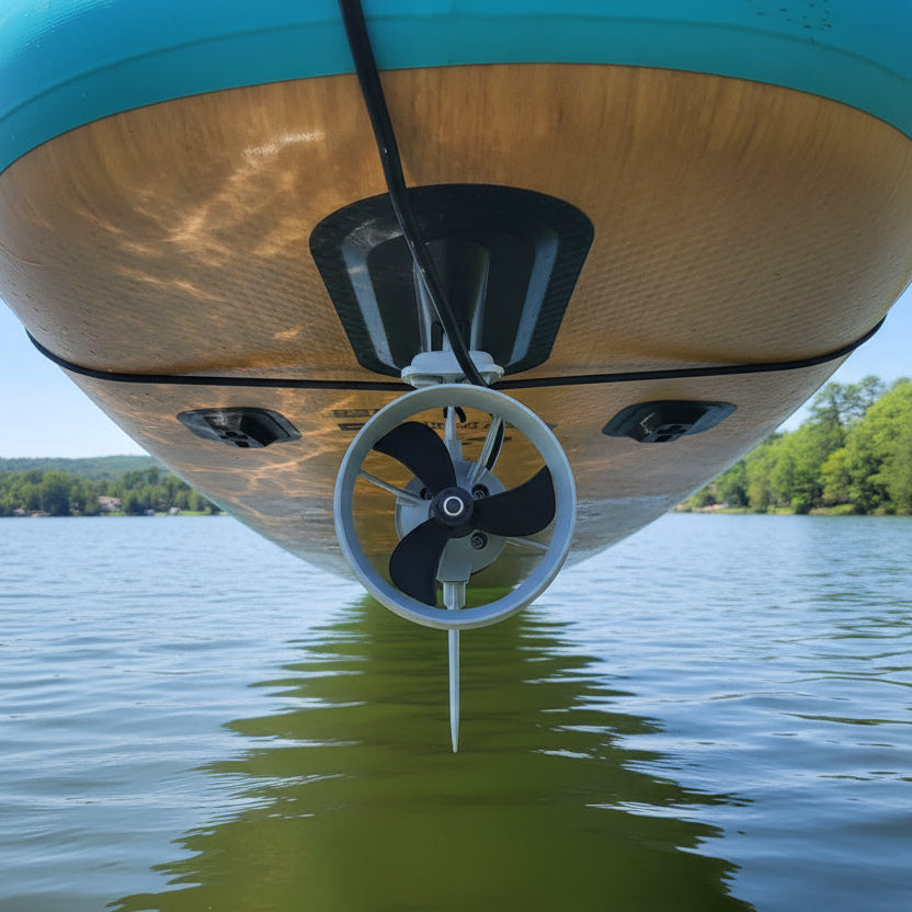 EvoFin Y3 350W – L’entrée intelligente dans la propulsion électrique