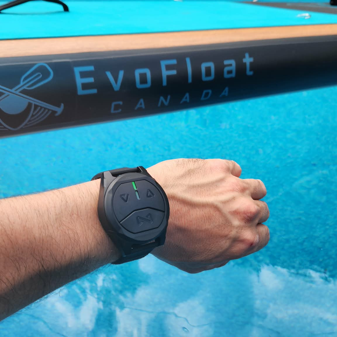 EvoFin Y2 450w – L’équilibre parfait entre puissance et polyvalence